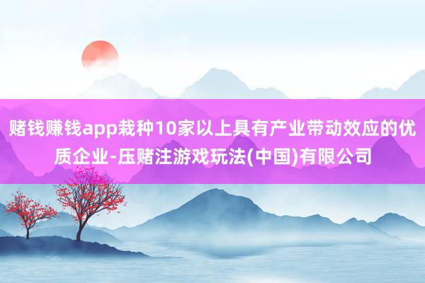 赌钱赚钱app栽种10家以上具有产业带动效应的优质企业-压赌注游戏玩法(中国)有限公司