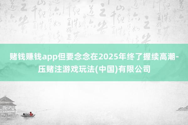 赌钱赚钱app但要念念在2025年终了握续高潮-压赌注游戏玩法(中国)有限公司